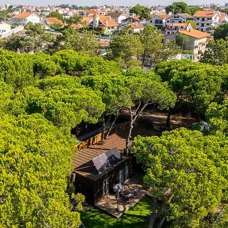 Eco Quintian Charneca (Setubal)